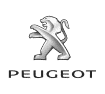 animation-evenement-entreprise-peugeot.png