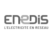 animation-evenementielle-entreprise-enedis-grenoble.png